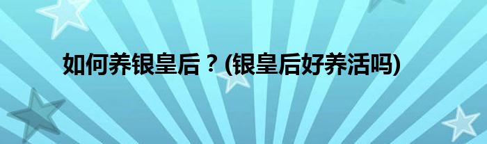 如何養(yǎng)銀皇后？(銀皇后好養(yǎng)活嗎)