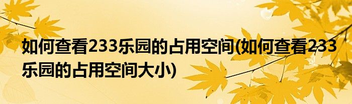 如何查看233樂園的占用空間(如何查看233樂園的占用空間大小)