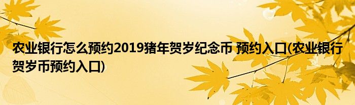 農(nóng)業(yè)銀行怎么預(yù)約2019豬年賀歲紀(jì)念幣 預(yù)約入口(農(nóng)業(yè)銀行賀歲幣預(yù)約入口)