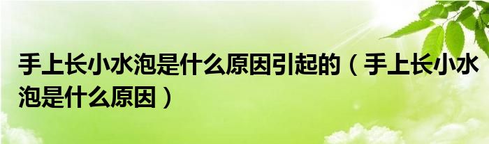 手上長小水泡是什么原因引起的（手上長小水泡是什么原因）