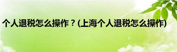 個(gè)人退稅怎么操作？(上海個(gè)人退稅怎么操作)