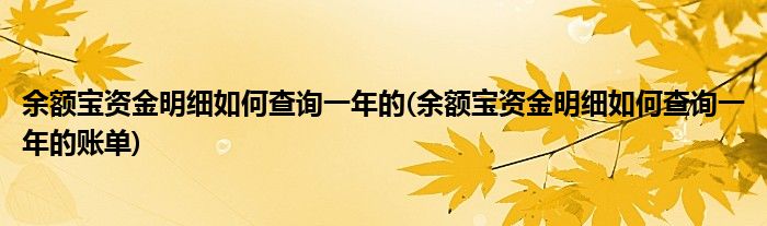 余額寶資金明細如何查詢一年的(余額寶資金明細如何查詢一年的賬單)