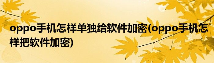 oppo手機(jī)怎樣單獨(dú)給軟件加密(oppo手機(jī)怎樣把軟件加密)