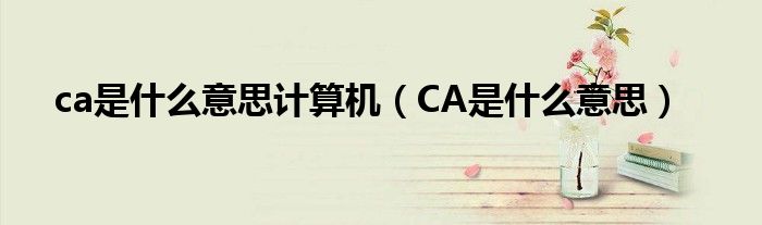 ca是什么意思計算機（CA是什么意思）