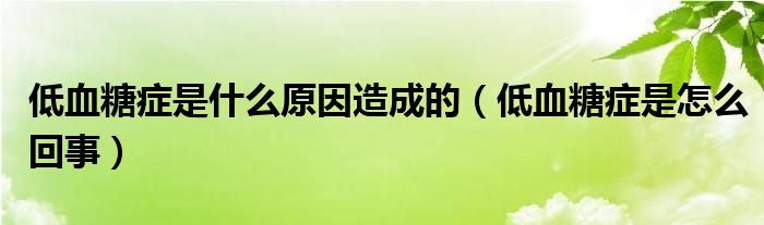 低血糖癥是什么原因造成的（低血糖癥是怎么回事）