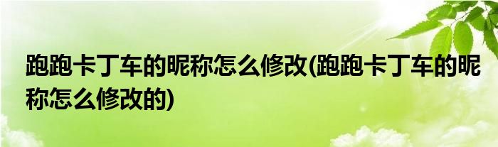 跑跑卡丁車的昵稱怎么修改(跑跑卡丁車的昵稱怎么修改的)