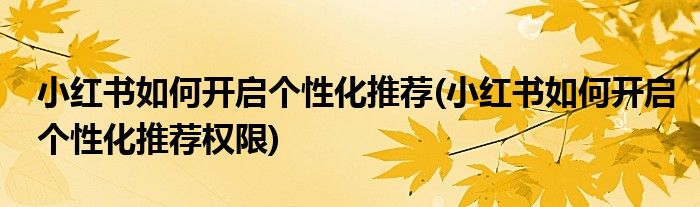 小紅書(shū)如何開(kāi)啟個(gè)性化推薦(小紅書(shū)如何開(kāi)啟個(gè)性化推薦權(quán)限)