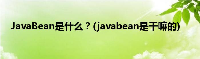 JavaBean是什么？(javabean是干嘛的)