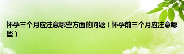 懷孕三個月應(yīng)注意哪些方面的問題（懷孕前三個月應(yīng)注意哪些）