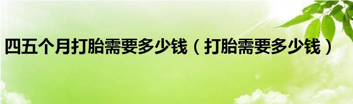 四五個(gè)月打胎需要多少錢（打胎需要多少錢）