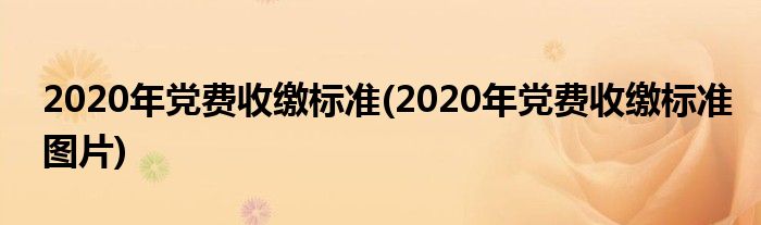 2020年黨費(fèi)收繳標(biāo)準(zhǔn)(2020年黨費(fèi)收繳標(biāo)準(zhǔn)圖片)