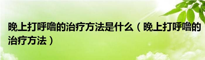 晚上打呼嚕的治療方法是什么（晚上打呼嚕的治療方法）