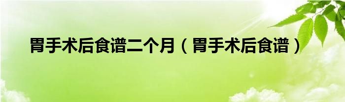 胃手術(shù)后食譜二個(gè)月（胃手術(shù)后食譜）