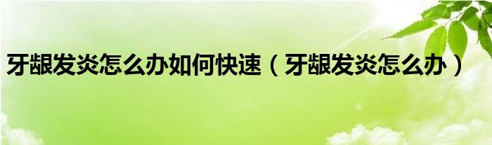 牙齦發(fā)炎怎么辦如何快速（牙齦發(fā)炎怎么辦）