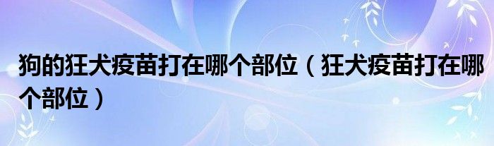 狗的狂犬疫苗打在哪個(gè)部位（狂犬疫苗打在哪個(gè)部位）