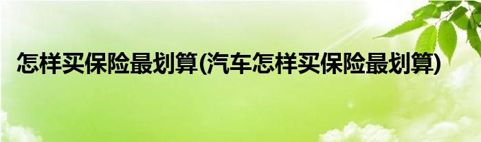 怎樣買保險最劃算(汽車怎樣買保險最劃算)