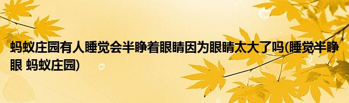 螞蟻莊園有人睡覺會半睜著眼睛因?yàn)檠劬μ罅藛?睡覺半睜眼 螞蟻莊園)