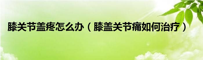 膝關(guān)節(jié)蓋疼怎么辦（膝蓋關(guān)節(jié)痛如何治療）