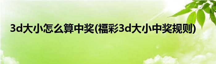 3d大小怎么算中獎(jiǎng)(福彩3d大小中獎(jiǎng)規(guī)則)