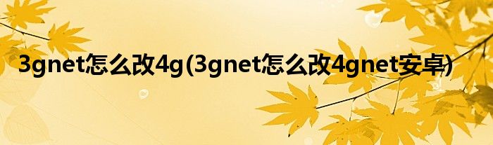 3gnet怎么改4g(3gnet怎么改4gnet安卓)