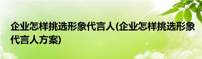 企業(yè)怎樣挑選形象代言人(企業(yè)怎樣挑選形象代言人方案)