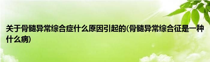 關(guān)于骨髓異常綜合癥什么原因引起的(骨髓異常綜合征是一種什么病)