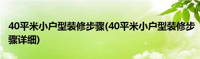 40平米小戶(hù)型裝修步驟(40平米小戶(hù)型裝修步驟詳細(xì))