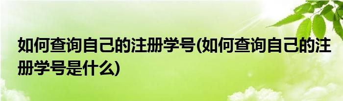 如何查詢自己的注冊(cè)學(xué)號(hào)(如何查詢自己的注冊(cè)學(xué)號(hào)是什么)