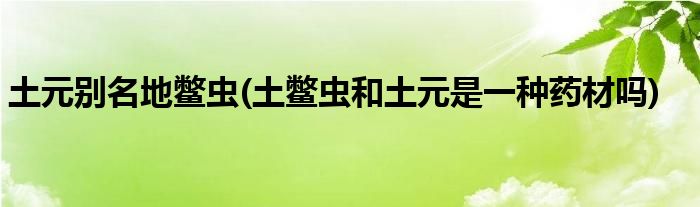 土元?jiǎng)e名地鱉蟲(土鱉蟲和土元是一種藥材嗎)