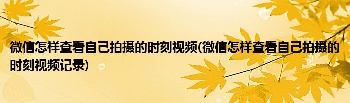 微信怎樣查看自己拍攝的時刻視頻(微信怎樣查看自己拍攝的時刻視頻記錄)