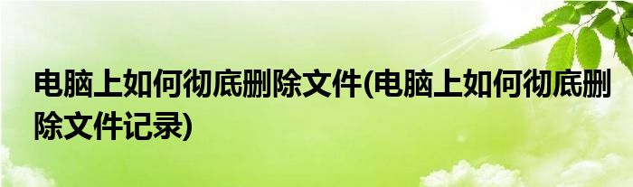 電腦上如何徹底刪除文件(電腦上如何徹底刪除文件記錄)