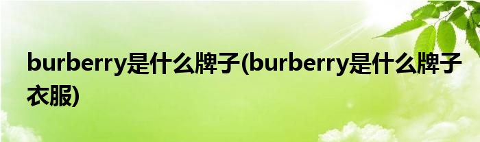 burberry是什么牌子(burberry是什么牌子衣服)