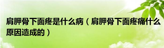 肩胛骨下面疼是什么?。珉喂窍旅嫣弁词裁丛蛟斐傻模?class='thumb lazy' /></a>
		    <header>
		<h2><a  href=