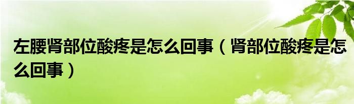 左腰腎部位酸疼是怎么回事（腎部位酸疼是怎么回事）