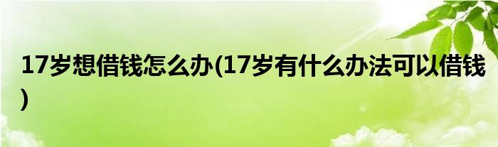 17歲想借錢怎么辦(17歲有什么辦法可以借錢)