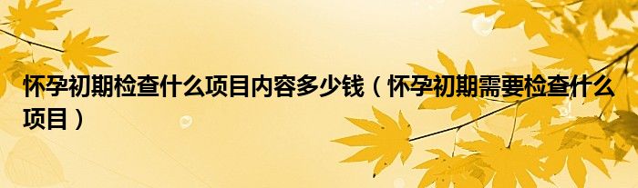 懷孕初期檢查什么項(xiàng)目內(nèi)容多少錢（懷孕初期需要檢查什么項(xiàng)目）