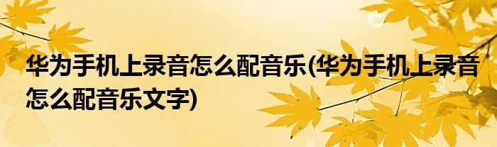 華為手機上錄音怎么配音樂(華為手機上錄音怎么配音樂文字)