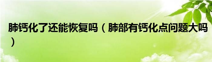 肺鈣化了還能恢復(fù)嗎（肺部有鈣化點(diǎn)問題大嗎）