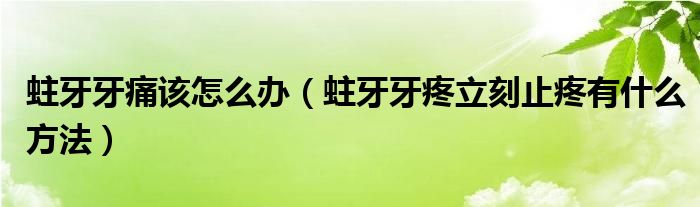 蛀牙牙痛該怎么辦（蛀牙牙疼立刻止疼有什么方法）