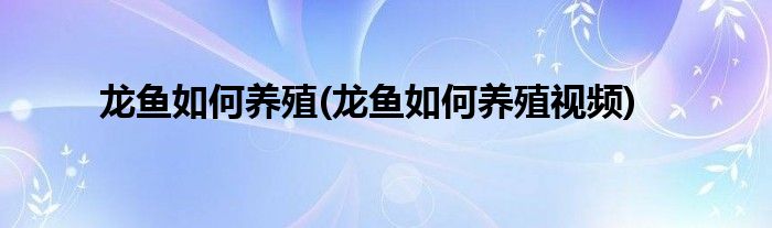 龍魚如何養(yǎng)殖(龍魚如何養(yǎng)殖視頻)