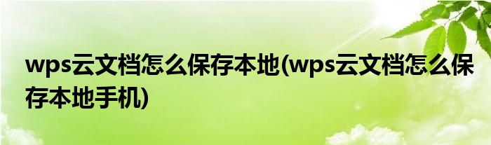 wps云文檔怎么保存本地(wps云文檔怎么保存本地手機(jī))