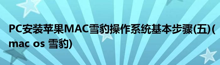 PC安裝蘋(píng)果MAC雪豹操作系統(tǒng)基本步驟(五)(mac os 雪豹)