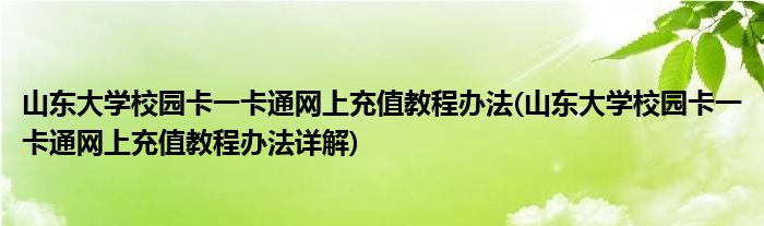 山東大學(xué)校園卡一卡通網(wǎng)上充值教程辦法(山東大學(xué)校園卡一卡通網(wǎng)上充值教程辦法詳解)