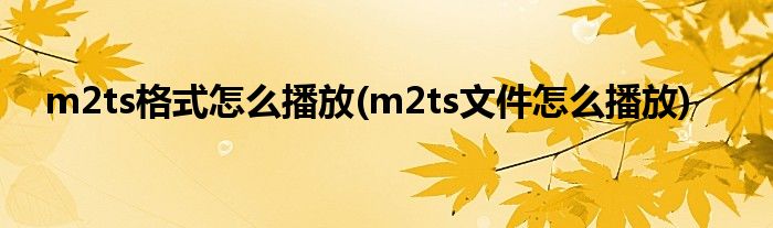 m2ts格式怎么播放(m2ts文件怎么播放)