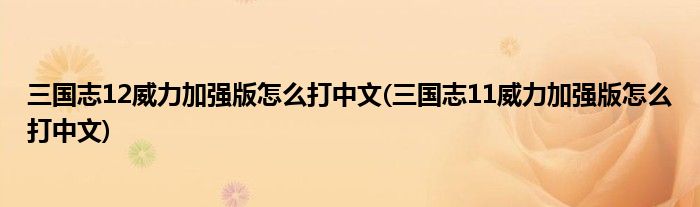 三國(guó)志12威力加強(qiáng)版怎么打中文(三國(guó)志11威力加強(qiáng)版怎么打中文)