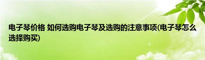 電子琴價格 如何選購電子琴及選購的注意事項(電子琴怎么選擇購買)