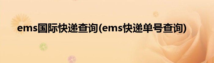 ems國際快遞查詢(ems快遞單號查詢)