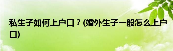 私生子如何上戶口？(婚外生子一般怎么上戶口)