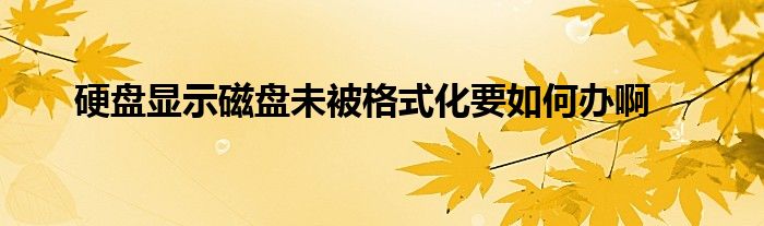 硬盤顯示磁盤未被格式化要如何辦啊