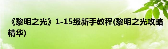 《黎明之光》1-15級(jí)新手教程(黎明之光攻略精華)